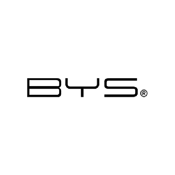 بی وای اس