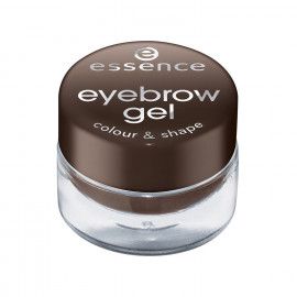 A description of the image