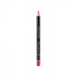 A description of the image