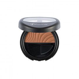 A description of the image