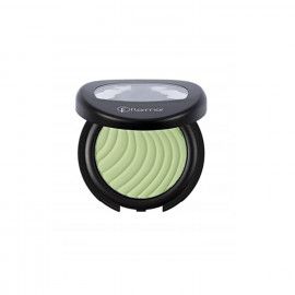 A description of the image