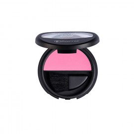 A description of the image