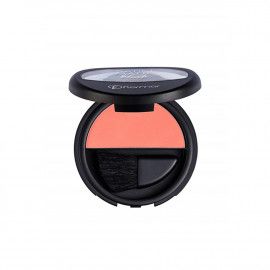 A description of the image