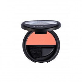 A description of the image