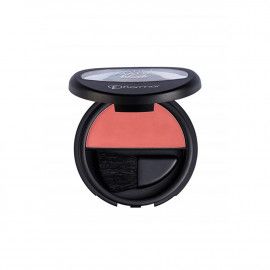 A description of the image