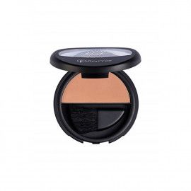 A description of the image