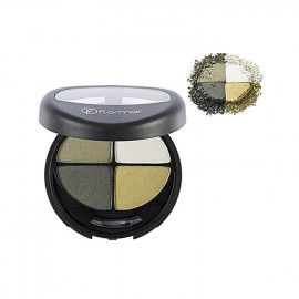 A description of the image