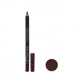 A description of the image