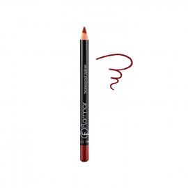 A description of the image