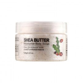 A description of the image