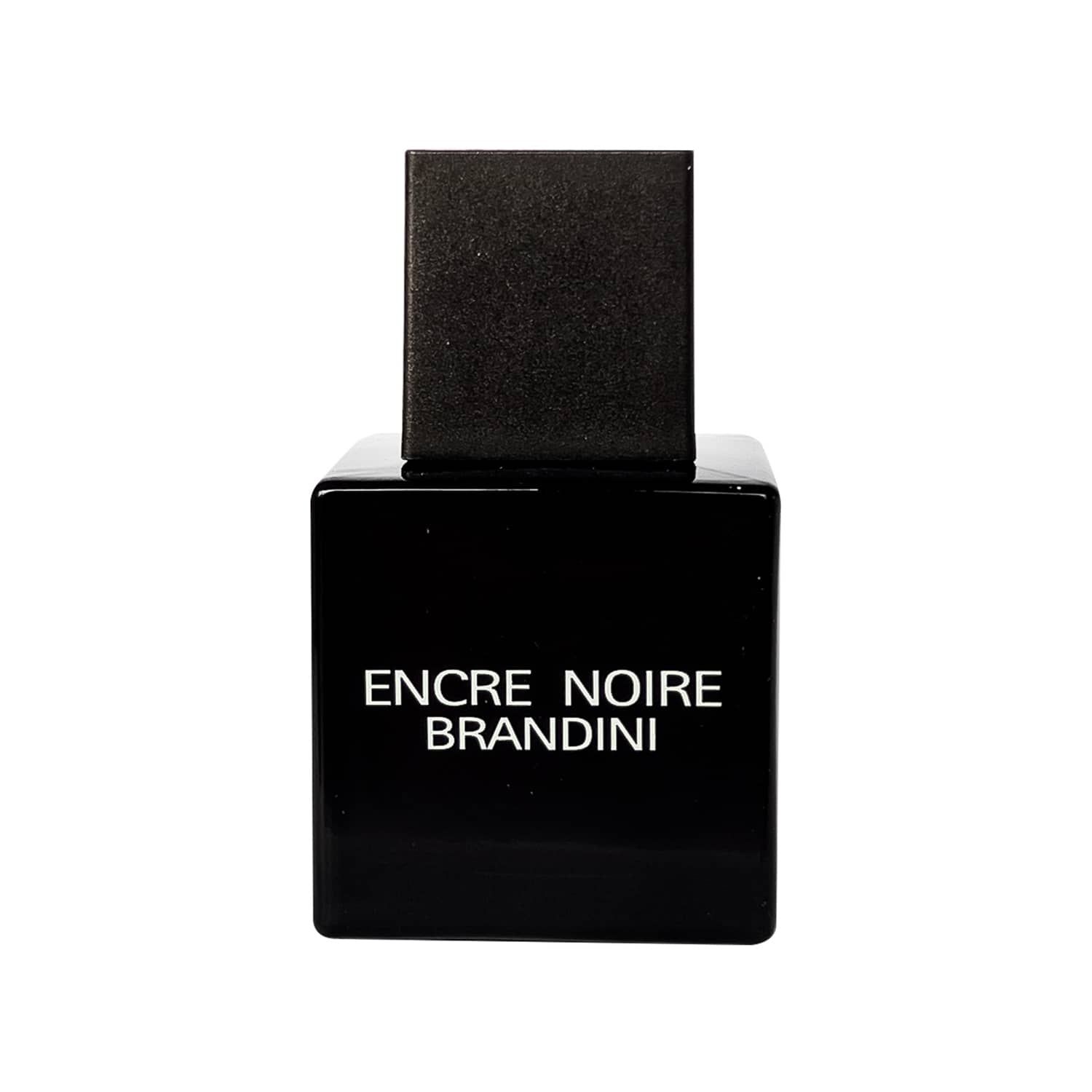 عطر جیبی مردانه برندینی مدل Encre Noire حجم 33 میلی لیتر