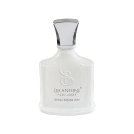عطر جیبی برندینی مدل Silver Mountain حجم 33 میلی لیتر