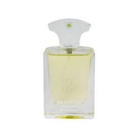 عطر جیبی مردانه برندینی مدل Bracken حجم 33 میلی لیتر
