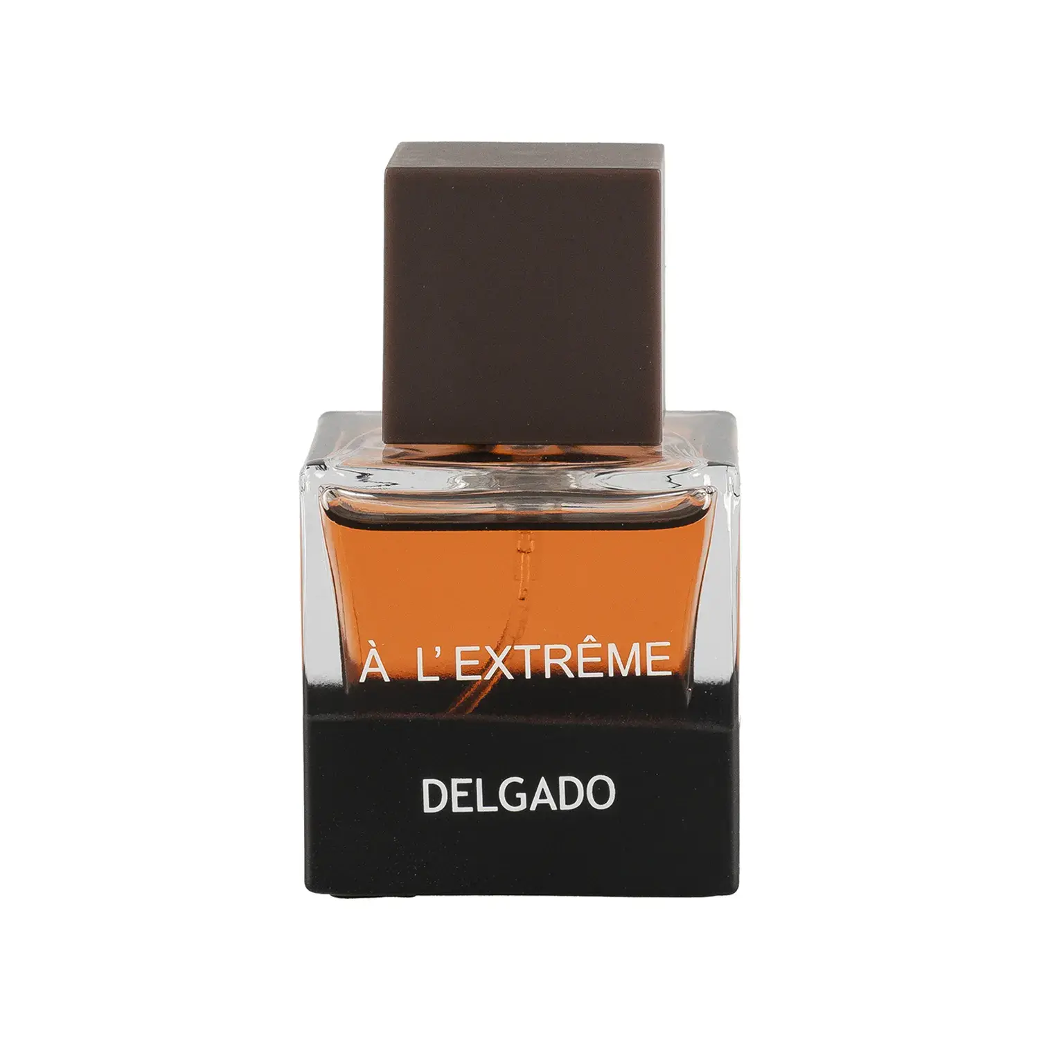 عطر جیبی مردانه دلگادو مدل A Lextreme حجم 25 میلی لیتر image