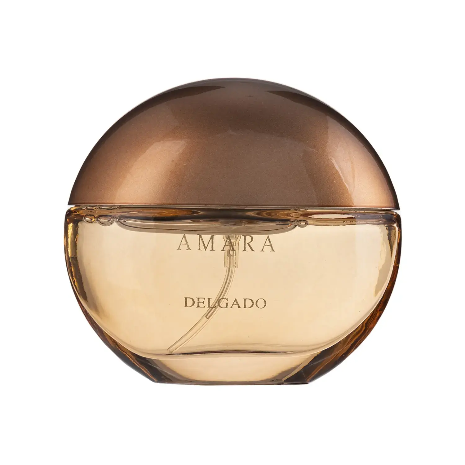 عطر جیبی مردانه دلگادو مدل Aqva Amara حجم 25 میلی لیتر image