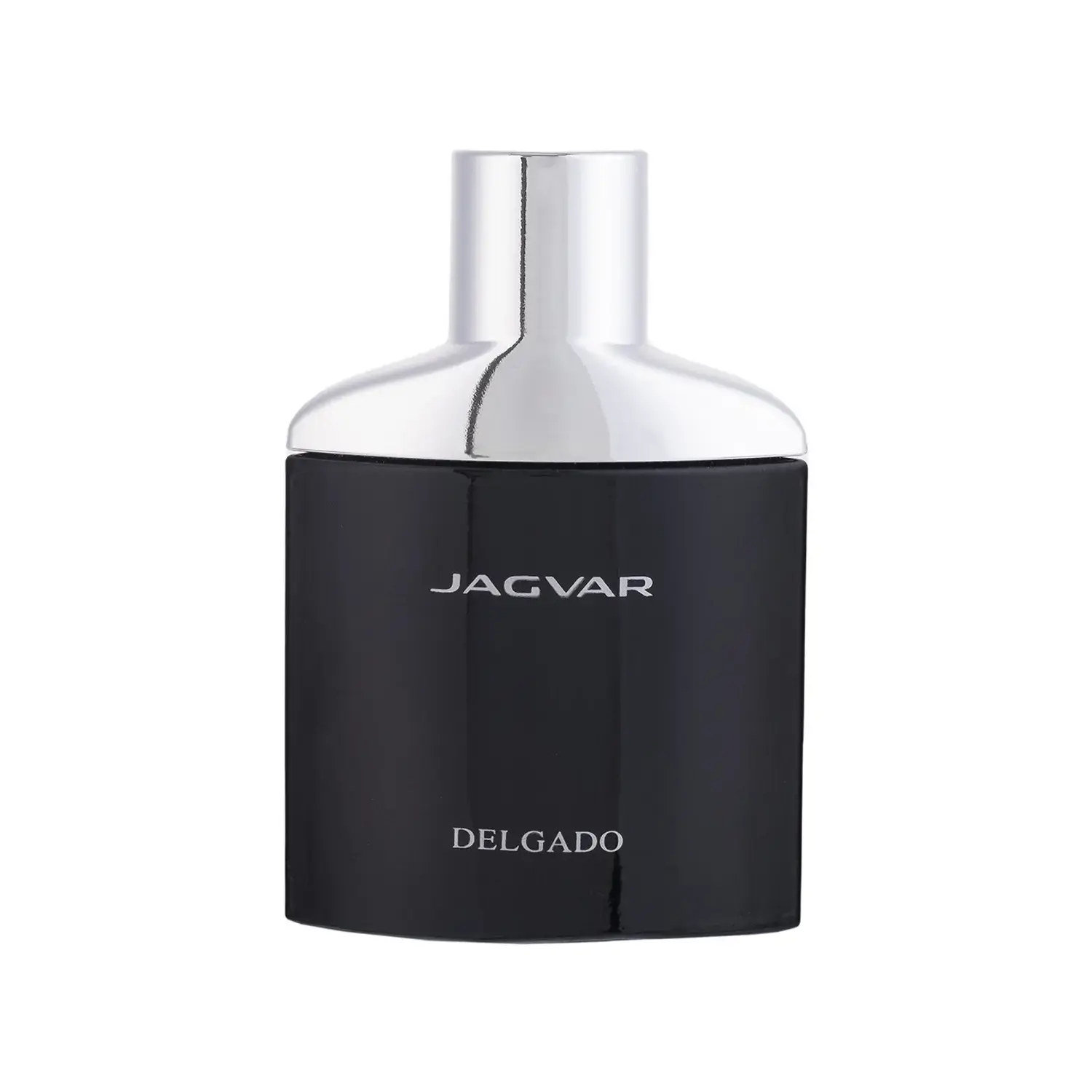 عطر جیبی مردانه دلگادو مدل Jagvar حجم 25 میلی لیتر image
