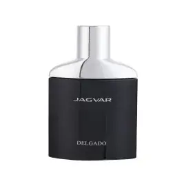 عطر جیبی مردانه دلگادو مدل Jagvar حجم 25 میلی لیتر