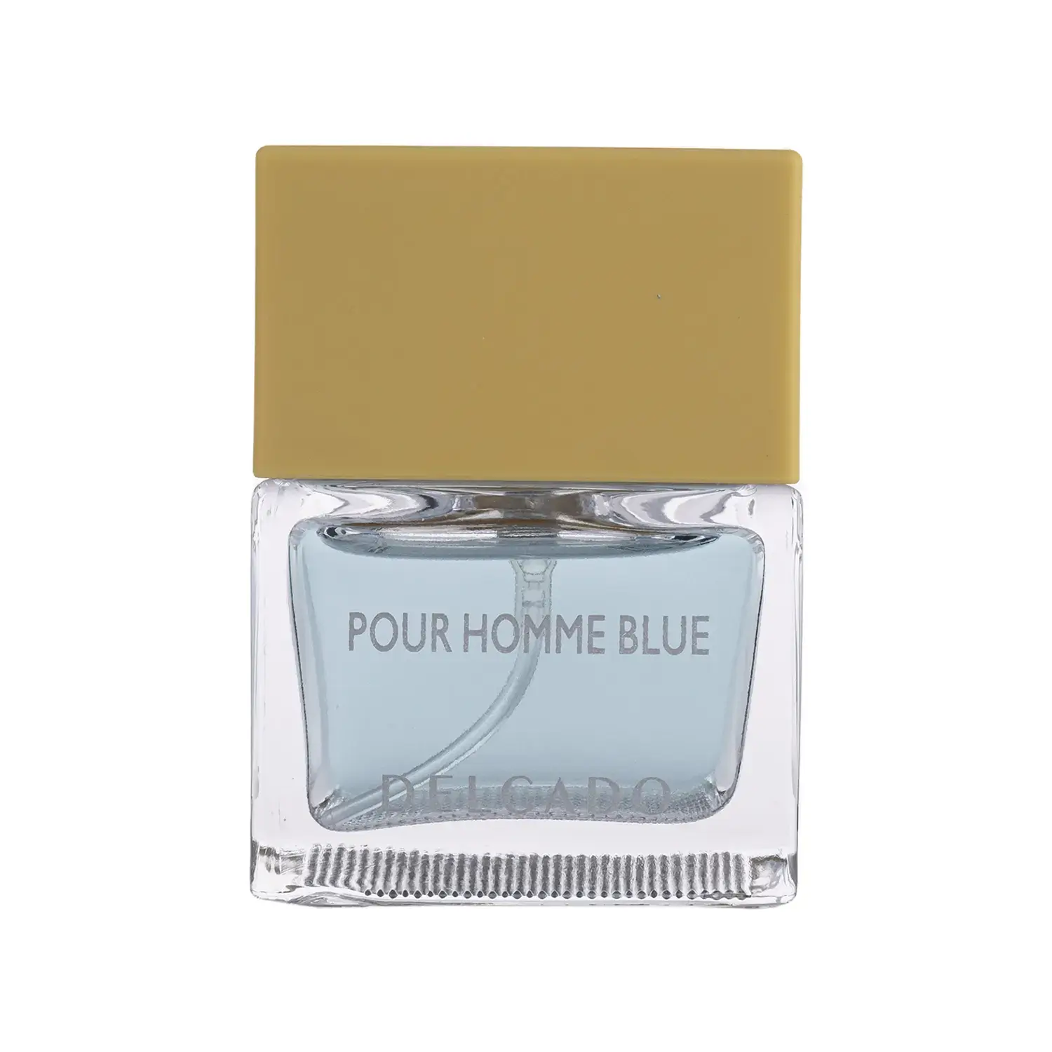 عطر جیبی مردانه دلگادو مدل Pour Homm Blue حجم 25 میلی لیتر image