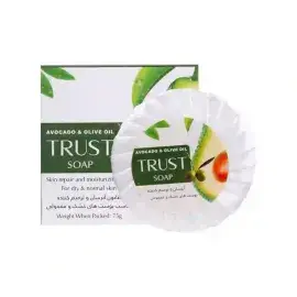 A description of the image