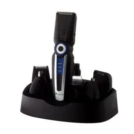 A description of the image