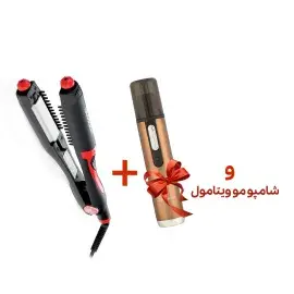 A description of the image