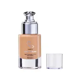 A description of the image