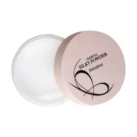 A description of the image