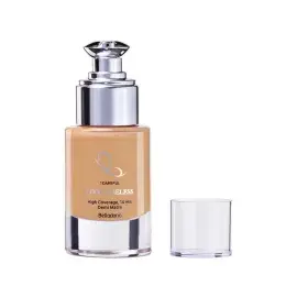 A description of the image