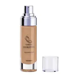 A description of the image