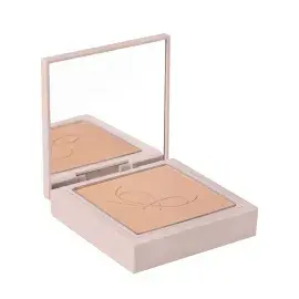 A description of the image