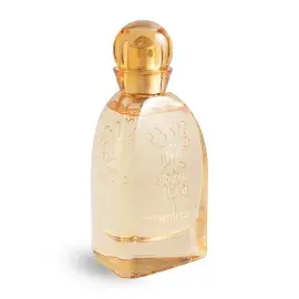 ادوپرفیوم زنانه ویت یو مدل Bouquet Eterna حجم 100 میلی لیتر