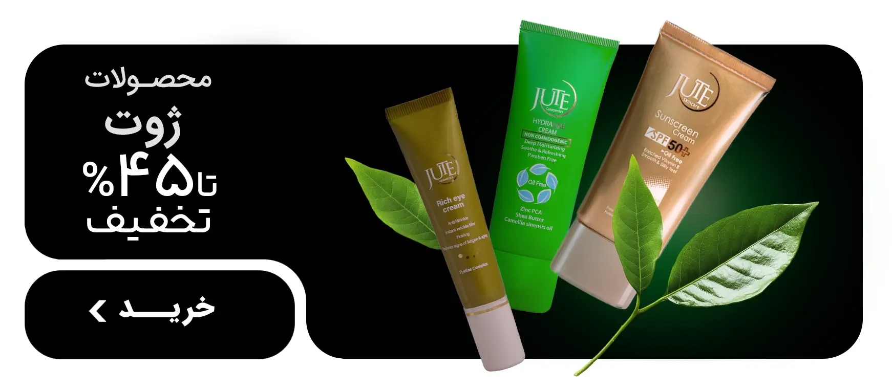 slide image slide image